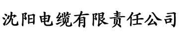 大香蕉成人观看电缆厂logo